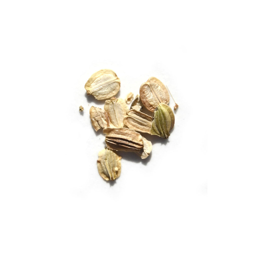 Loose, light brown, oval cardamom seeds with ridges are scattered on white—ideal for making your own room spray or using in Daughter Alchemy's Supreme Space® Botanical Protective Spray.