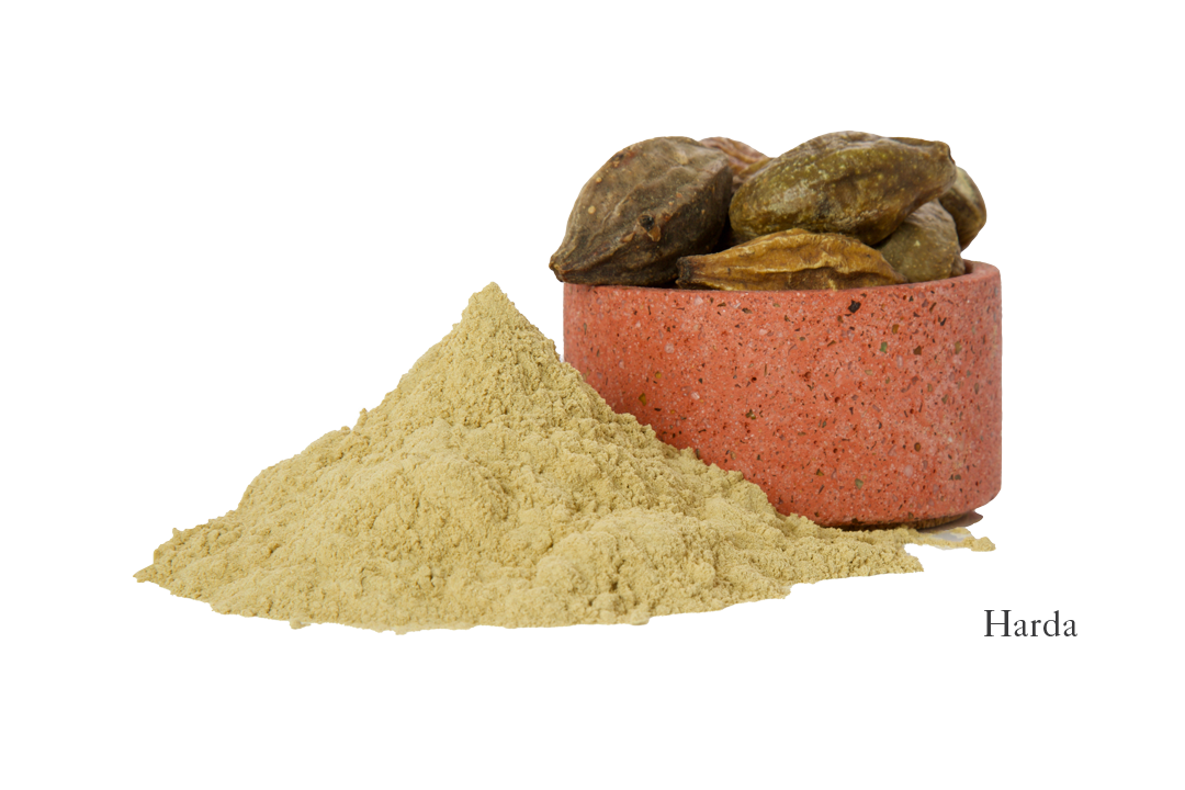 A terracotta bowl filled with whole harda fruits is positioned next to a heap of their beige powdered form, showcasing the key ingredients for the Harda Ayurvedic Yoga Mat by Bennd Yoga. The word "Harda" appears in the bottom right corner against a plain white background.