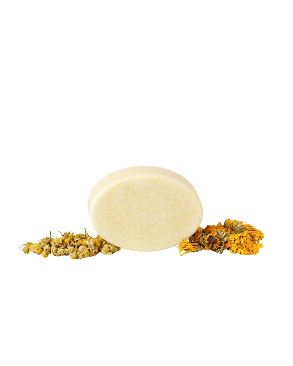 The Wild Mamas Chamomile + Calendula (Baby) Wild Bison Tallow Soap, a round pale yellow bar, stands upright on a white background between two small piles of dried chamomile and calendula flowers.