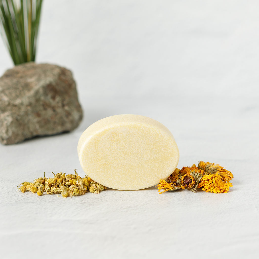 A pale yellow oval bar of Wild Mamas Chamomile + Calendula (Baby)- Wild Bison Tallow Soap rests on a white surface, surrounded by dried chamomile and calendula flowers, with a rock and green leaves in the background for a soothing effect.