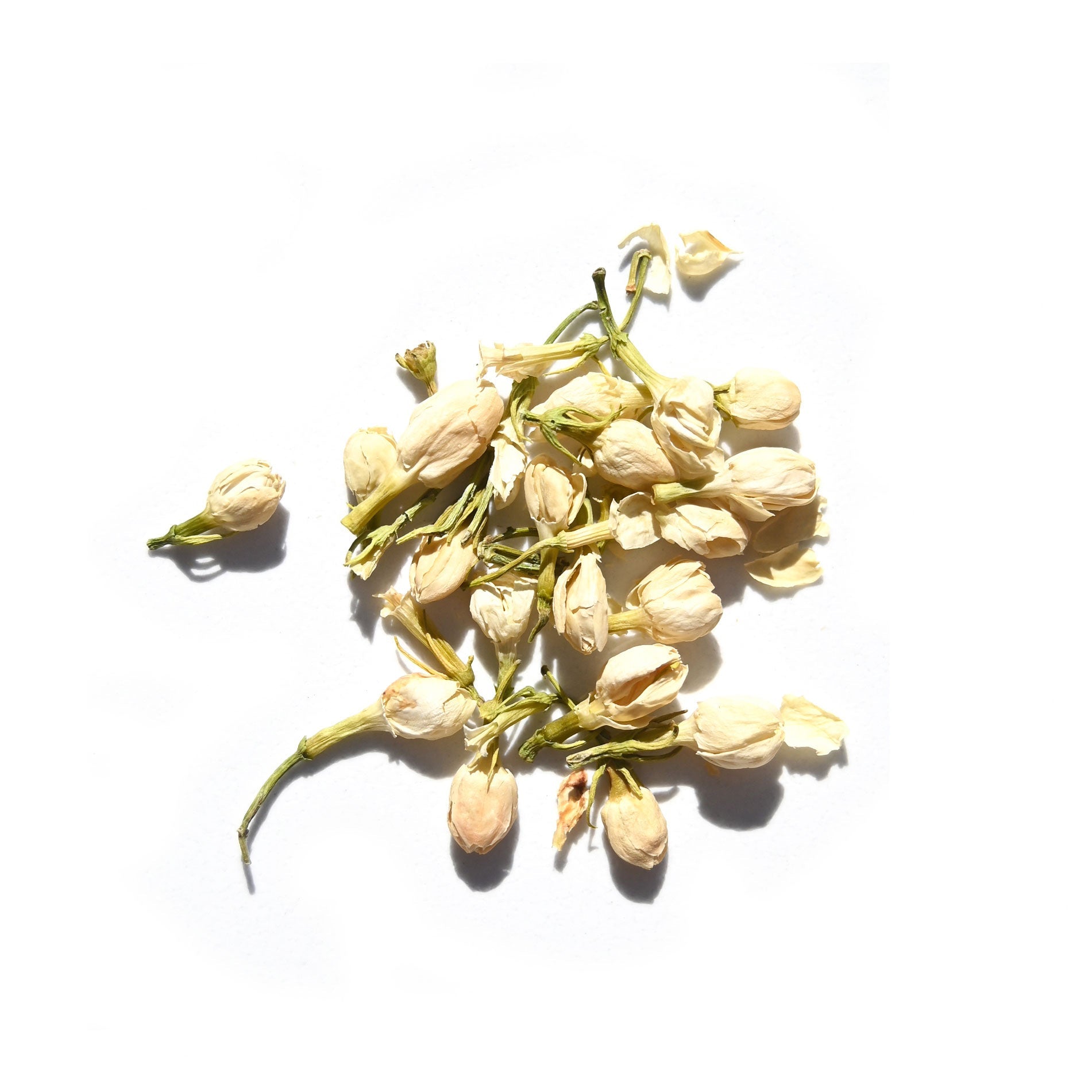 A small pile of dried jasmine flower buds with green stems on a white background—ideal for infusing Moon Mind® Botanical Intuition Oil by Daughter Alchemy, especially when blended with ylang ylang or organic jasmine oil.