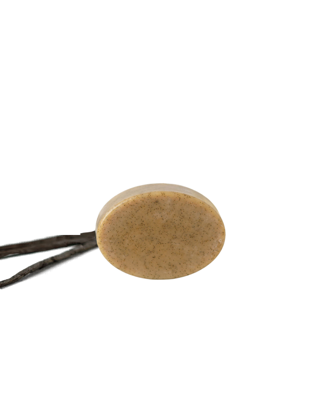 The Wild Mamas Madagascar Vanilla Bean + Manuka Honey Gently Exfoliating Wild Bison Tallow Soap Scrub, a round, speckled beige bar, is balanced on two thin dark twigs against a plain white background.