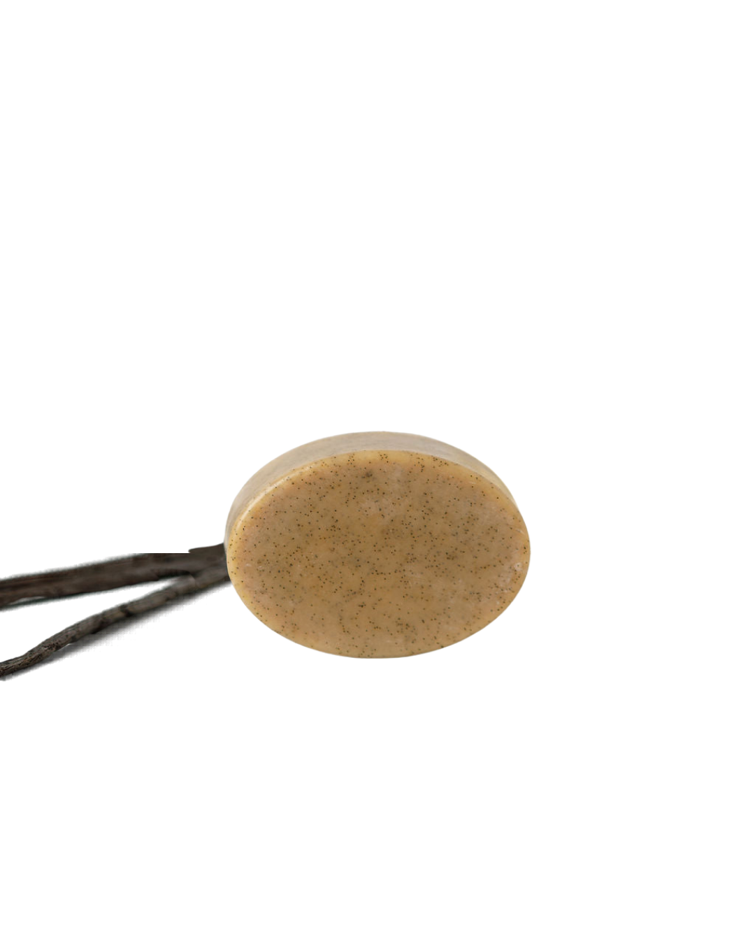 The Wild Mamas Madagascar Vanilla Bean + Manuka Honey Gently Exfoliating Wild Bison Tallow Soap Scrub, a round, speckled beige bar, is balanced on two thin dark twigs against a plain white background.