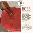 A pipette drops red liquid onto a rose petal on stone. Text highlights WOODEN SPOON HERBS’ Rose-Colored Glasses as a calming, heart-nurturing botanical for mood and stress support. A circular "Herbal Spotlight" badge appears in the top right.
