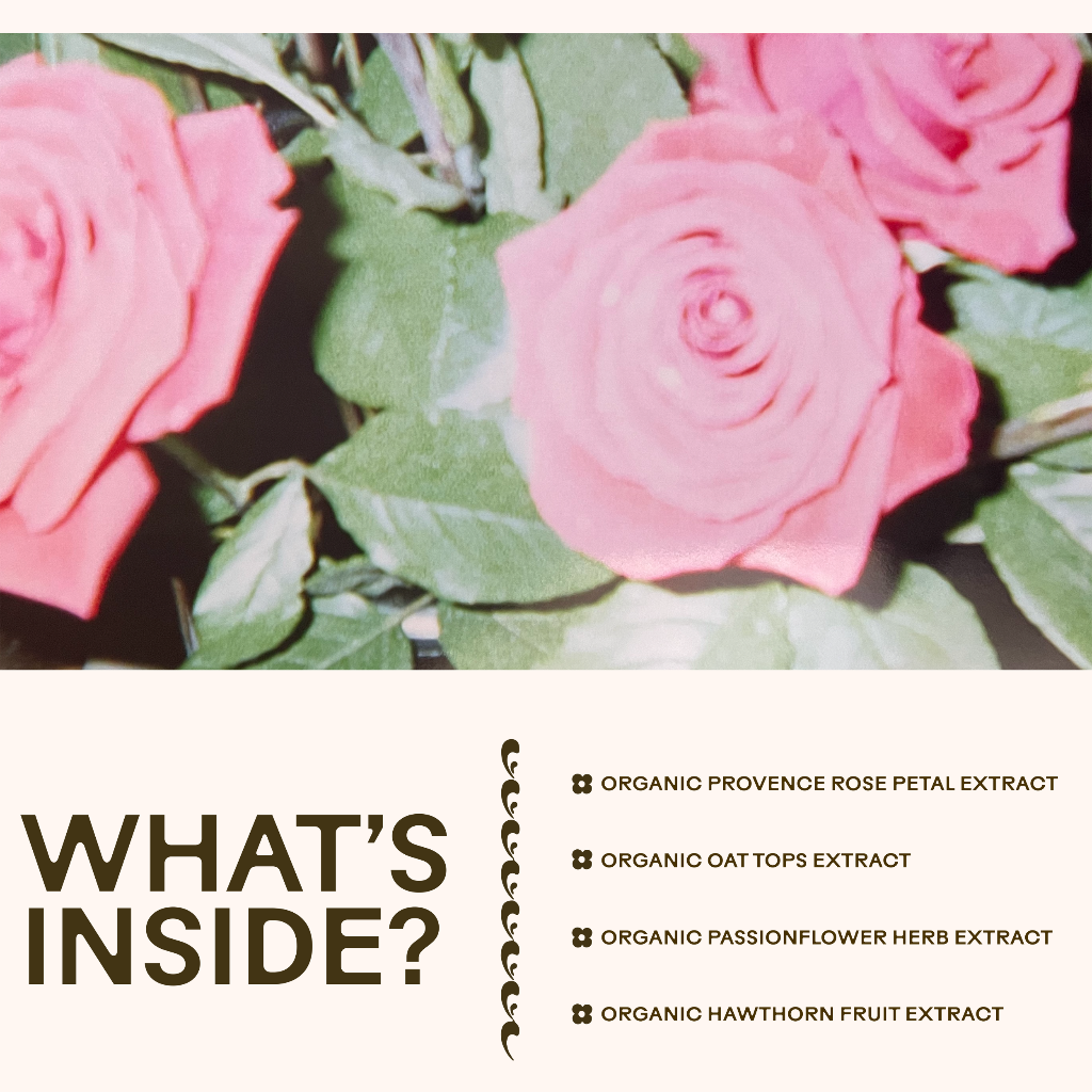 A close-up of pink roses with green leaves above "WHAT’S INSIDE?"—listing organic herbal extracts in WOODEN SPOON HERBS Rose-Colored Glasses: rose petal, oat tops, passionflower, and hawthorn fruit for natural stress support.