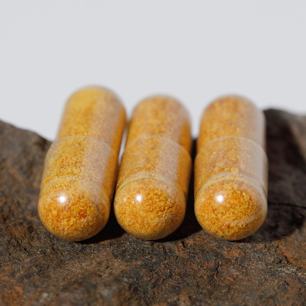 Three clear capsules of Wild Mamas Wild Salmon Roe, filled with yellowish-orange powder and made with grass-fed beef gelatin, are placed side by side on a rough brown rock against a pale background.