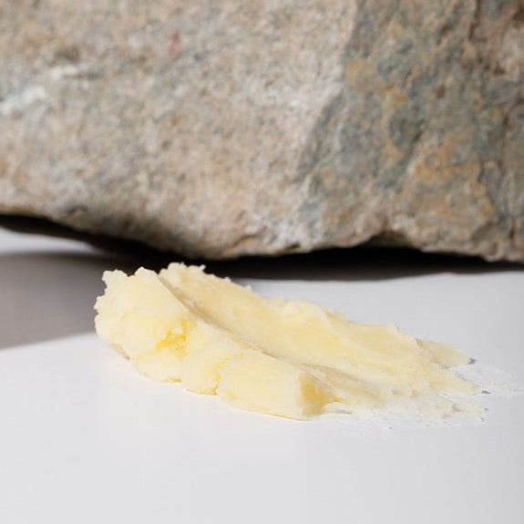 A smear of pale yellow Wild Mamas Honey Bee (Raw Honey)- Wild Bison Tallow Balm is spread on a white surface, with a large, rough-textured stone in the background.