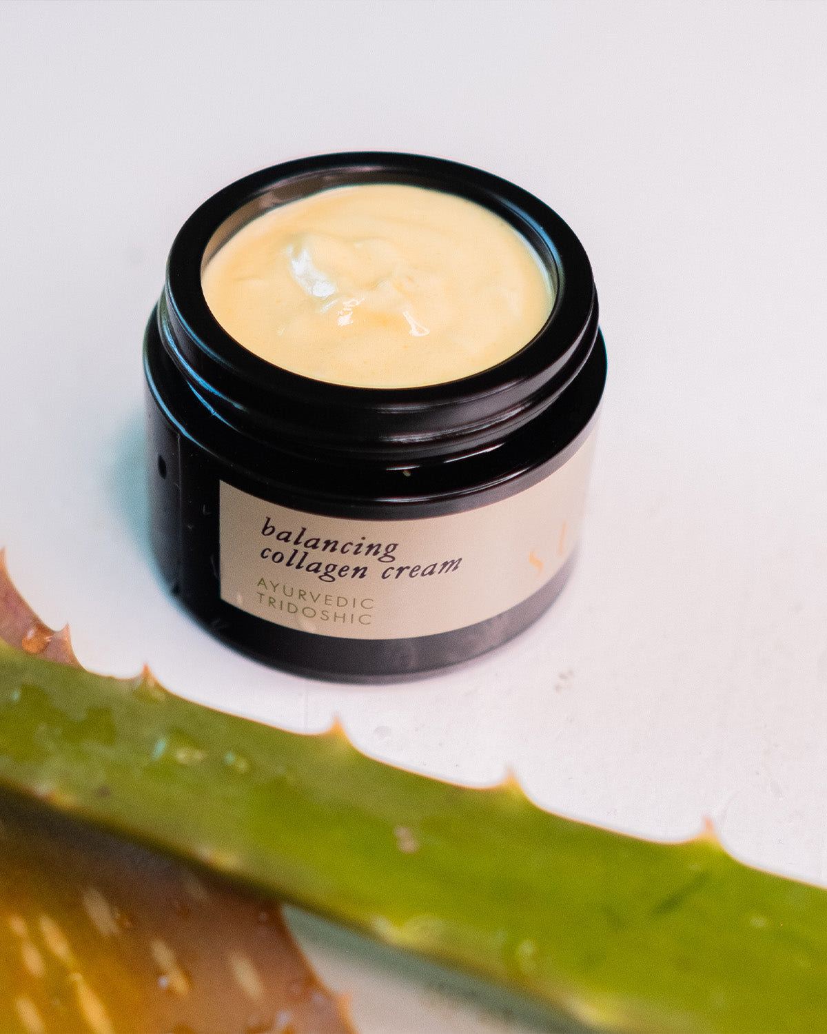 A black Surya Balancing Collagen Cream jar, labeled "Ayurvedic, Tridoshic," sits open to reveal its creamy texture. An aloe vera leaf lies diagonally in front, highlighting the product’s herbal support and skin-balancing benefits.