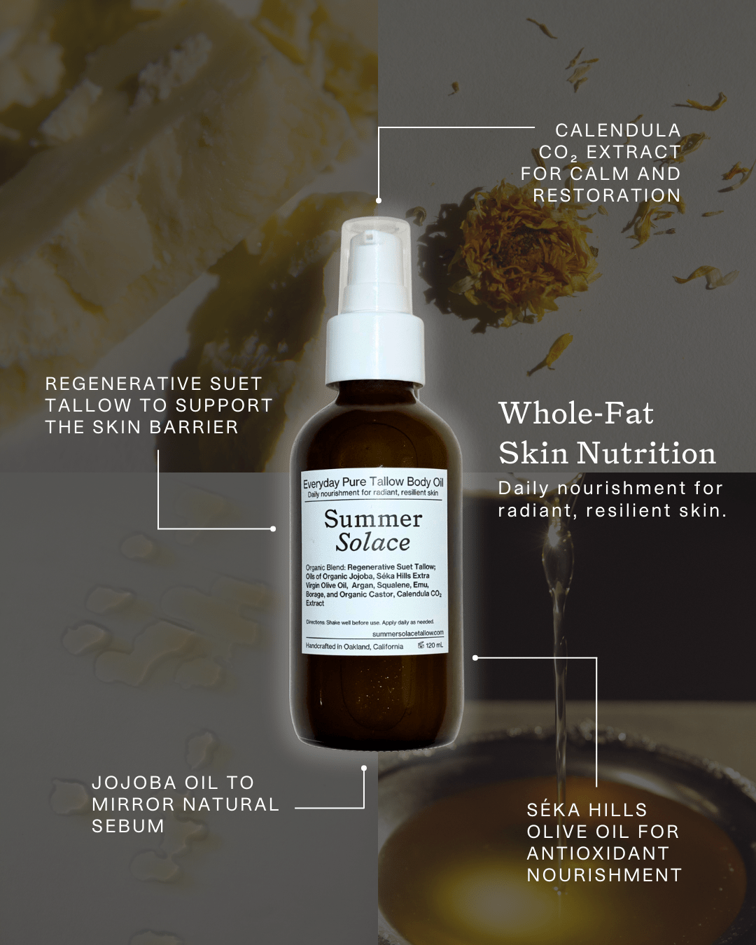 A brown bottle of Summer Solace Tallow's Everyday Pure Tallow Body Oil is centered, surrounded by ingredient callouts: regenerative suet tallow, calendula CO2 extract, jojoba oil, and olive oil with text highlighting unscented skin nourishment.