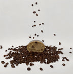 Decaf coffee beans spill from a small container onto a white background, echoing the pure simplicity of Wild Mamas’ Shilajit + Decaffeinated Coffee Bean Deeply Exfoliating Wild Bison Tallow Soap Scrub.