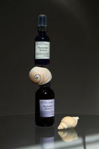 Two dark glass bottles of Summer Solace Tallow's Jasmine Sambac + Magnolia Perfume Mist—Water-Based are stacked with a seashell between them; another seashell sits nearby on a reflective surface against a plain, dark background.