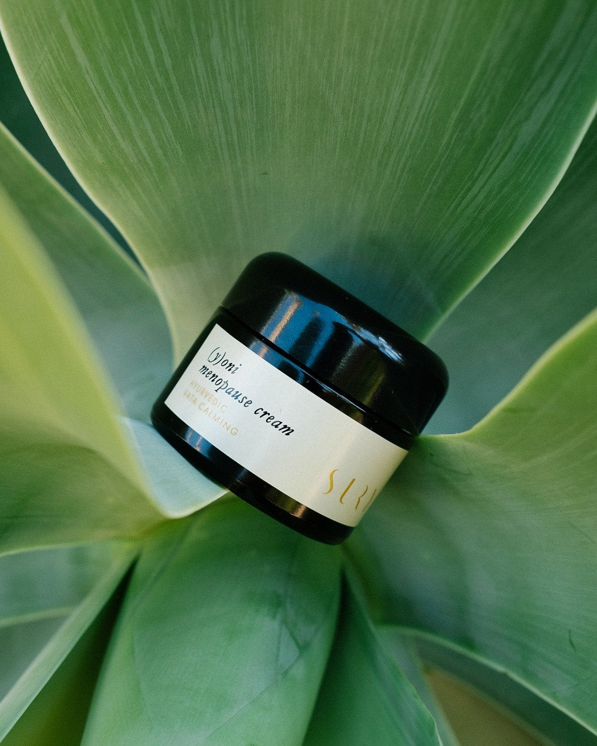 A black jar labeled "Surya (y)oni Menopause Cream" rests on succulent green leaves—an intimate skin moisturizer inspired by Ayurvedic botanicals.