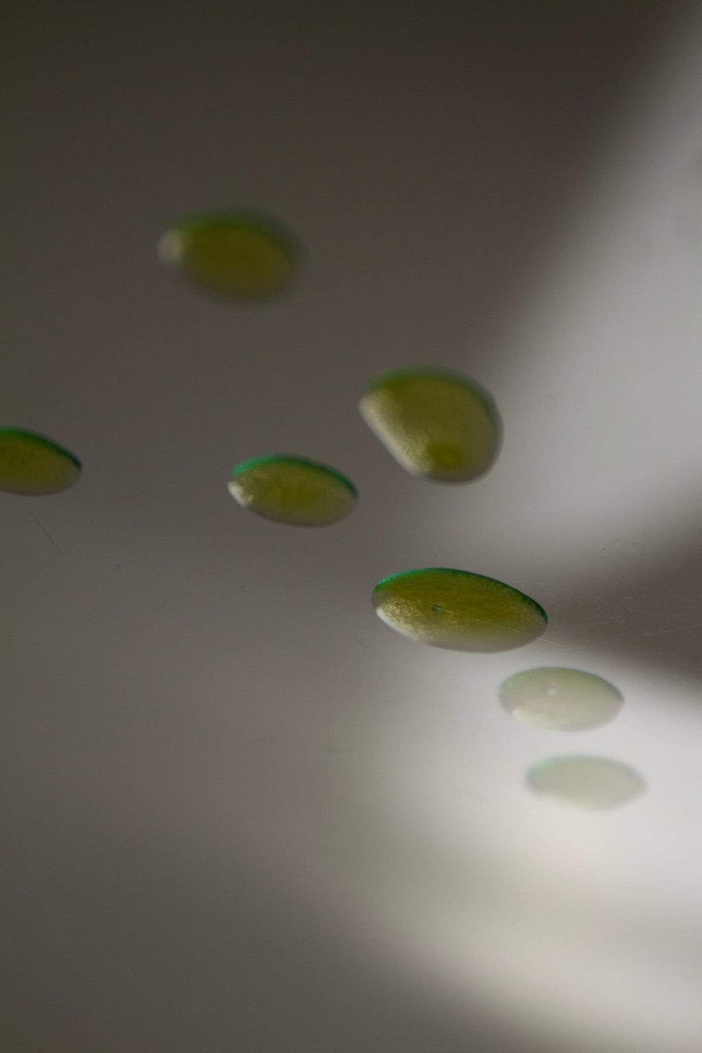 Six small, oval lime slices float mid-air against a white and gray backdrop, capturing the fresh essence of Summer Solace Tallow's Mountain Song Body and Hair Oil – Petrichor, Gardenia, Honeysuckle (Limited Edition).