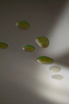 Six small, oval lime slices float mid-air against a white and gray backdrop, capturing the fresh essence of Summer Solace Tallow's Mountain Song Body and Hair Oil – Petrichor, Gardenia, Honeysuckle (Limited Edition).
