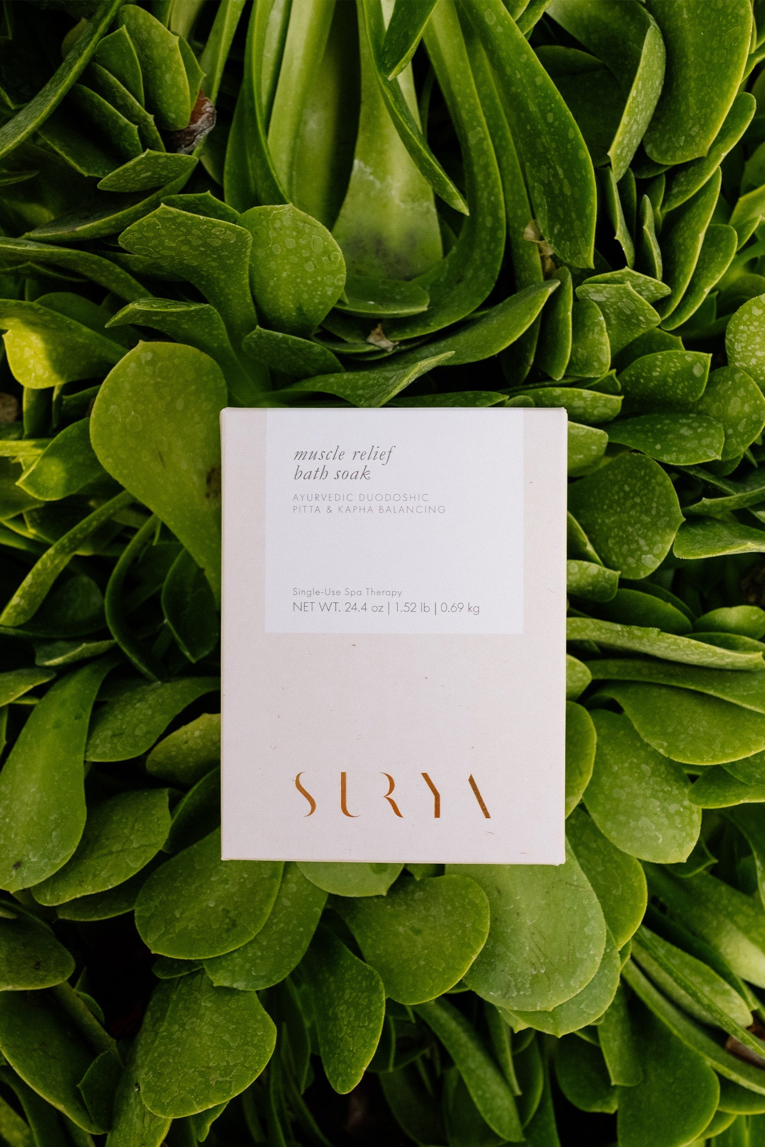 A white box labeled "Muscle Relief Bath Soak" by Surya sits on lush green leaves. Its minimalist design features gold "Surya" text, capturing the restorative essence of a spa therapy experience.