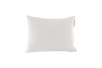 A plain white square pillow, known as the Child's Sleep Pillow by Shepherd's Dream, crafted from natural wool and featuring a subtle tag on the side, set against a transparent background.
